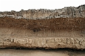 Kanary_2010 018